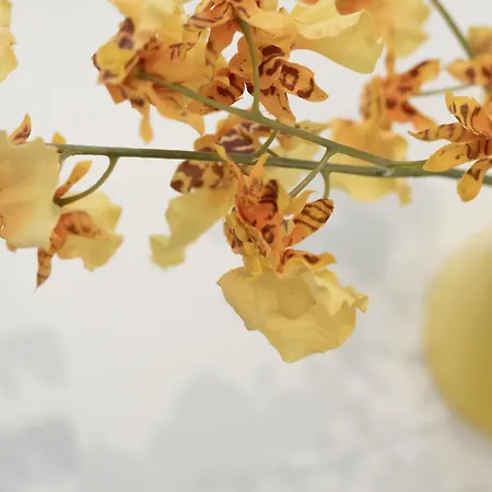 Regina Margherita Ii - 50 M Dal Mare, Wi-fi E Aria Condizionata