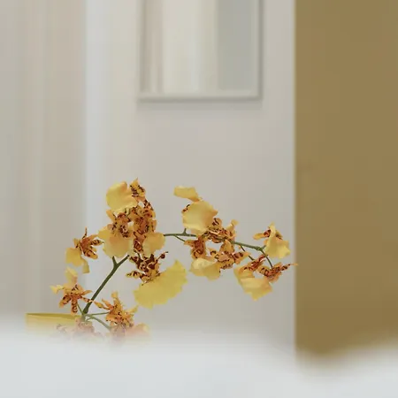 Regina Margherita Ii - 50 M Dal Mare, Wi-fi E Aria Condizionata Apartamento Civitanova Marche