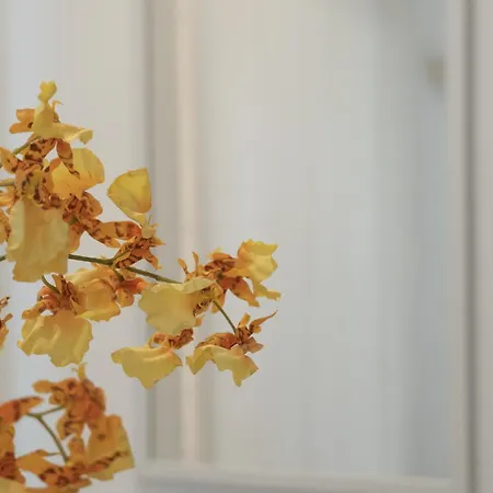 Apartamento Regina Margherita Ii - 50 M Dal Mare, Wi-fi E Aria Condizionata Civitanova Marche